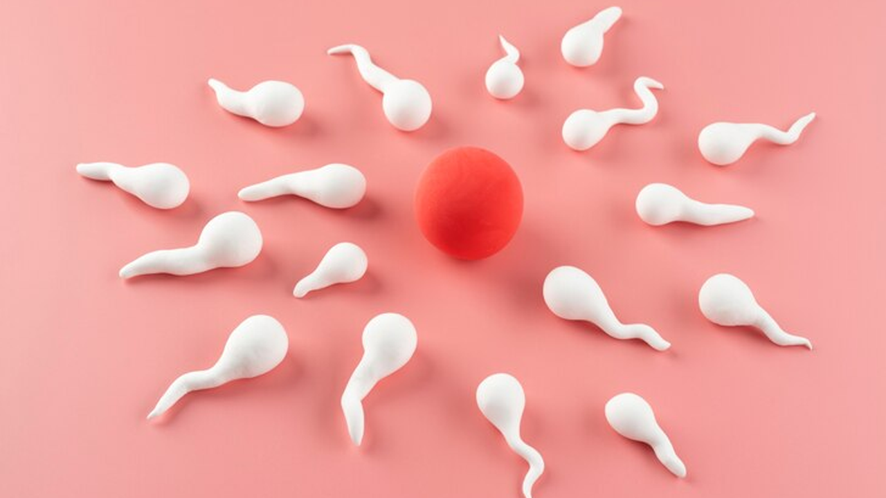 Best Time to Take CoQ10 for Fertility Unlocking the Secrets