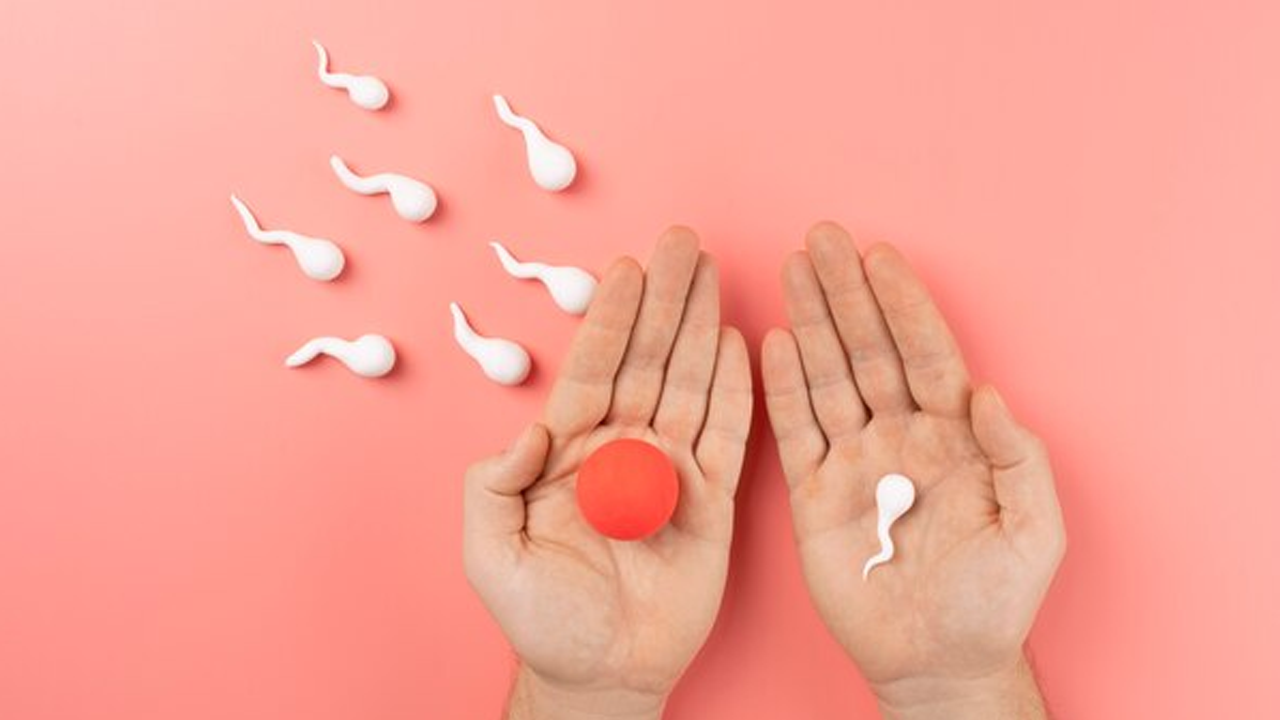 Best CoQ10 for Male Fertility