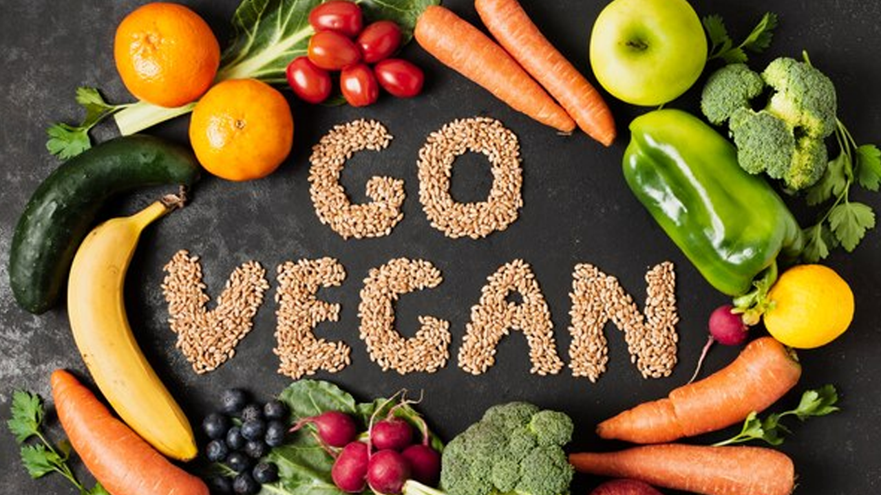 What Ingredients Make the Best Vegan Coq10 Supplement